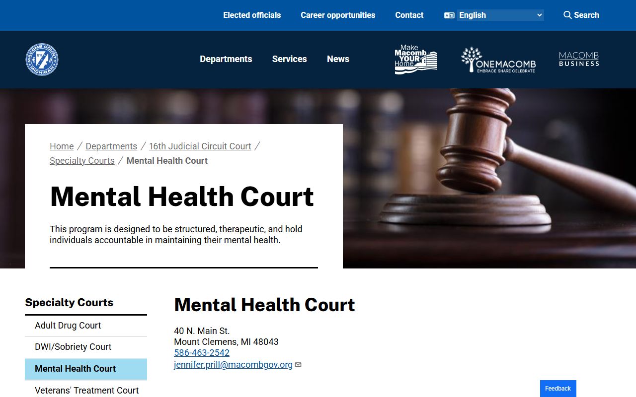 Macomb County probate related Mental Health Court program page
