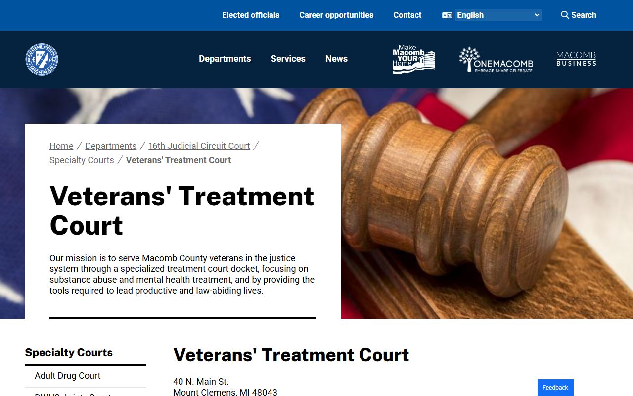 Macomb County probate related Veterans Treatment Court program page